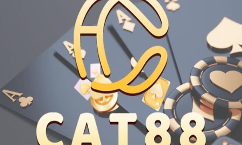 Giải đáp một số thắc mắc về tải ứng dụng cat88